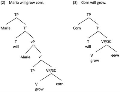 Diversity of Grammars and Their Diverging Evolutionary and Processing Paths: Evidence From Functional MRI Study of Serbian